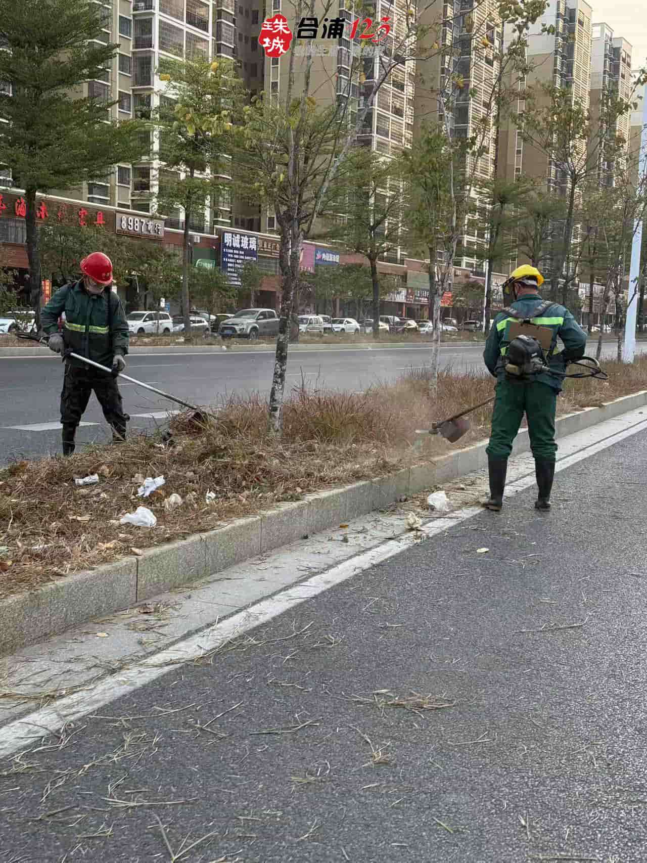 WechatIMG386.jpg
