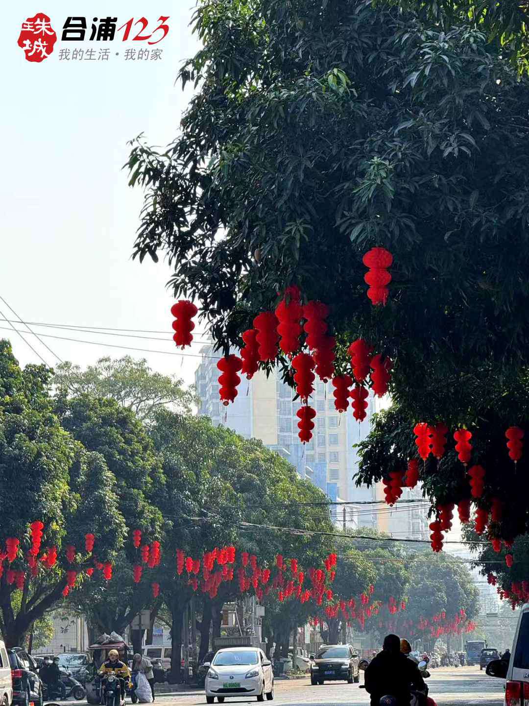 1100.jpg