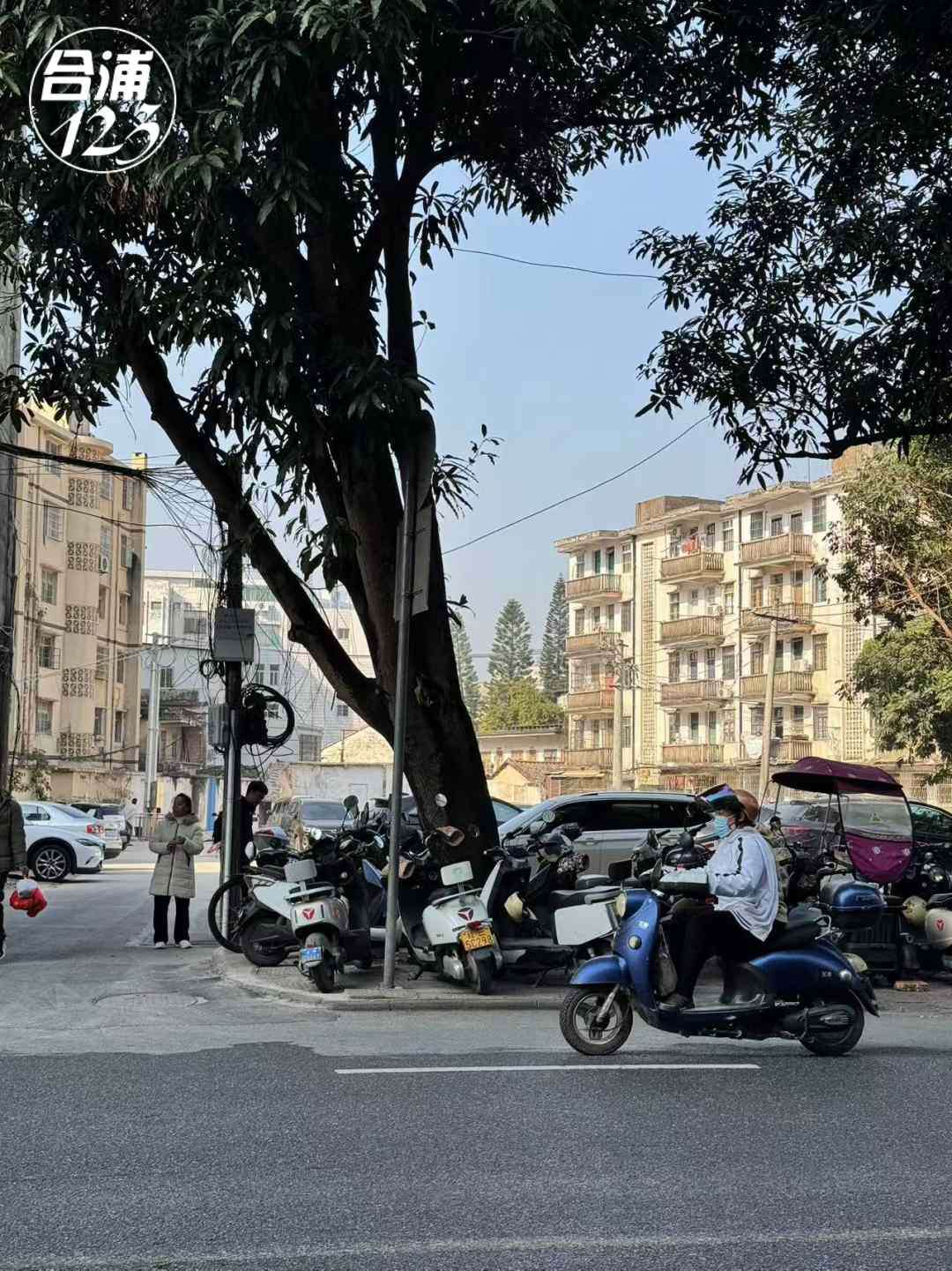 555.jpg