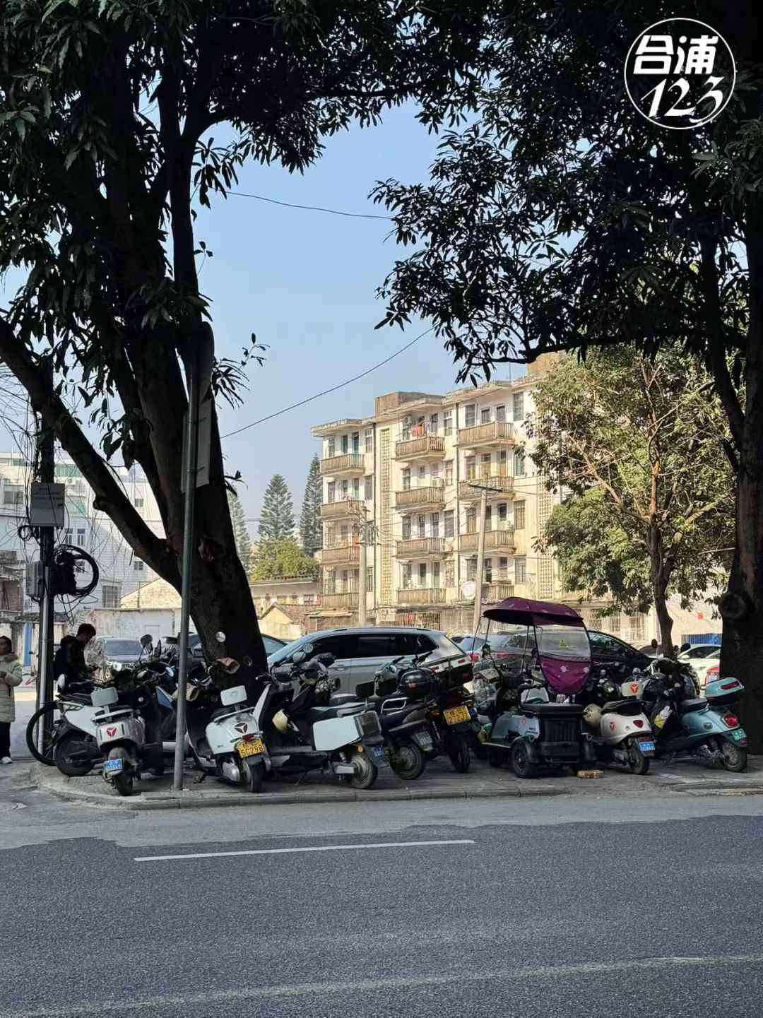 444.jpg