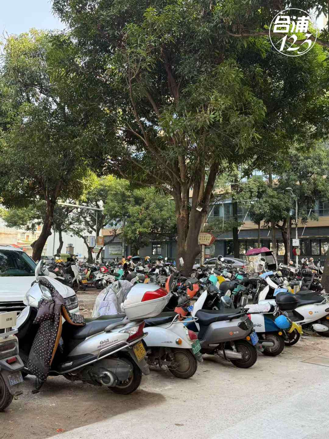 111.jpg