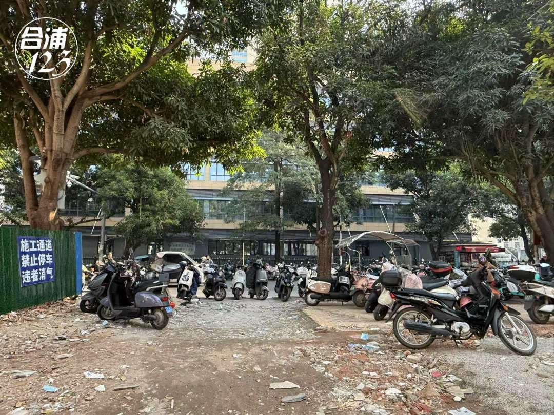 8998.jpg