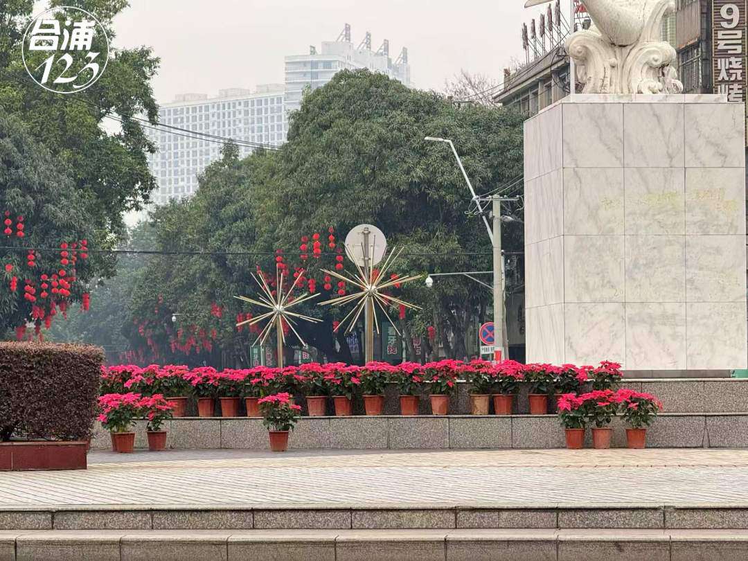 222.jpg