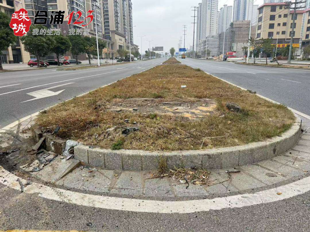 222.jpg