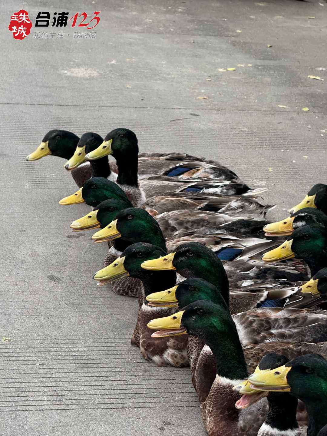 1313.jpg
