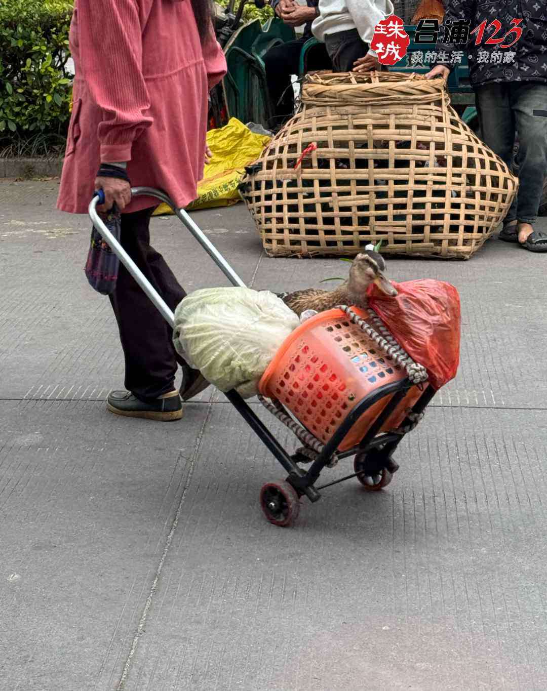 2121.jpg