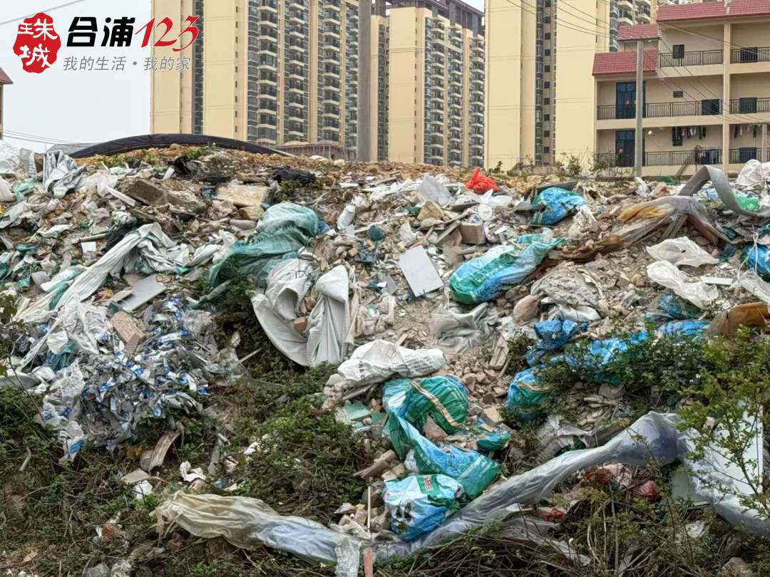 555.jpg
