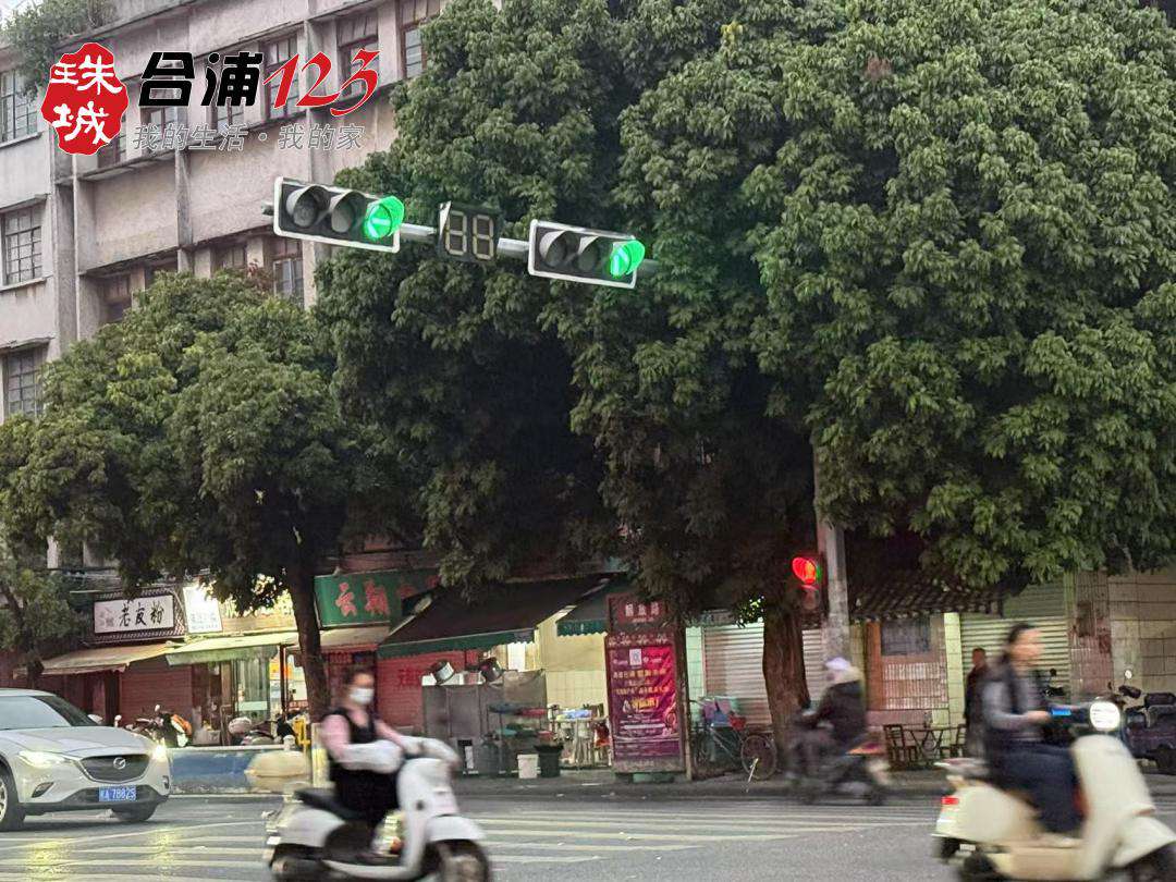 66.jpg
