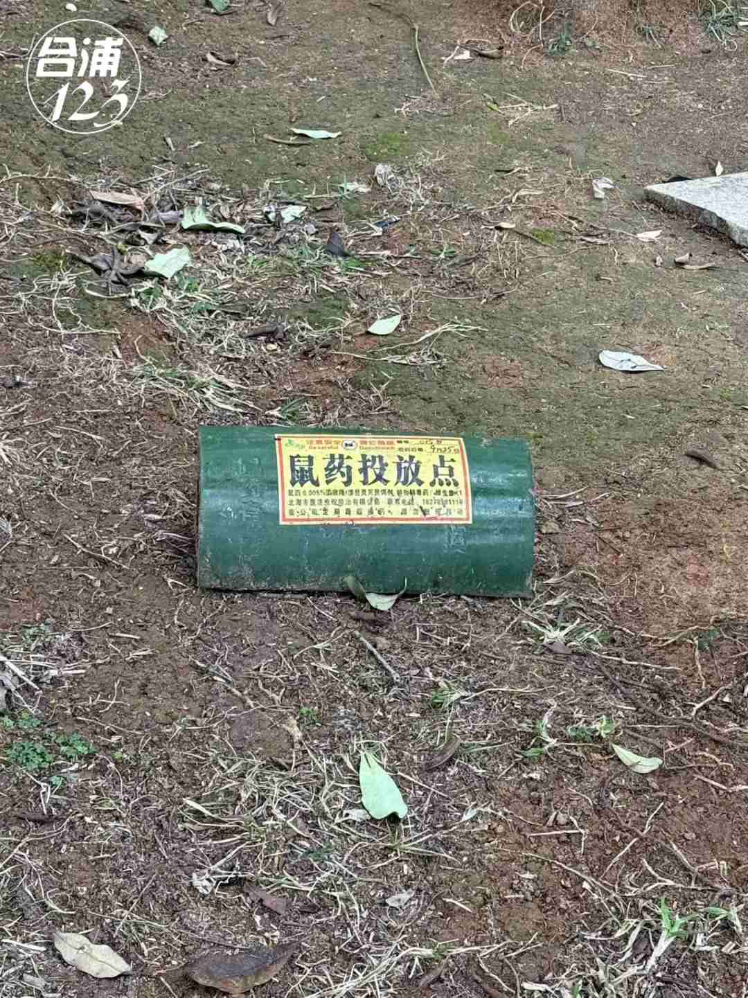 111.jpg