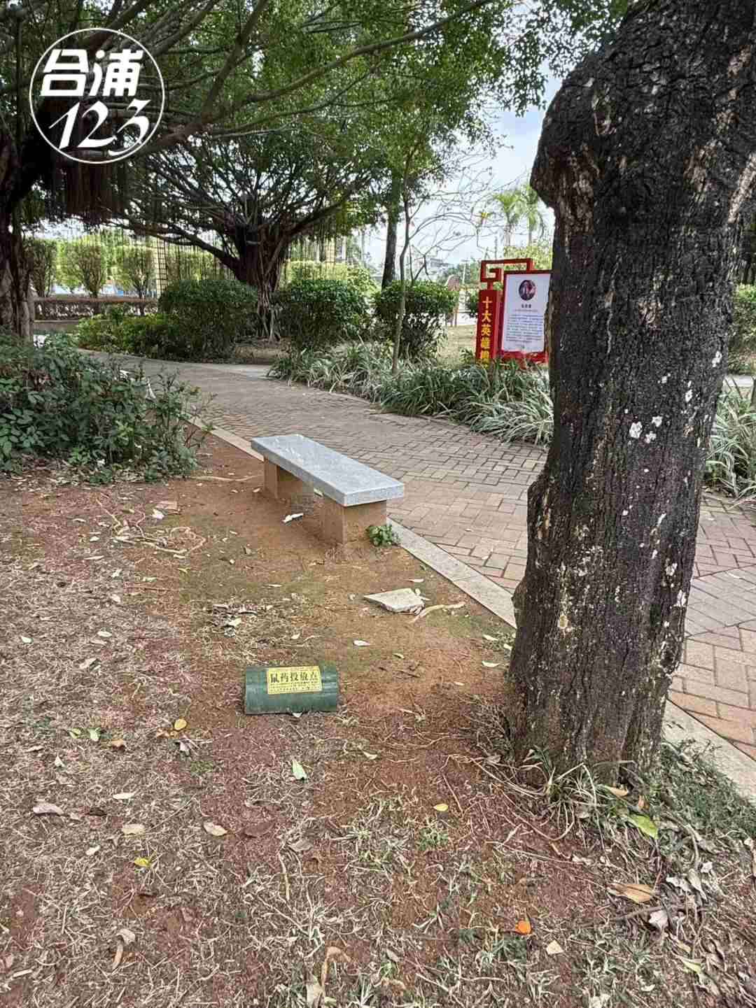 222.jpg