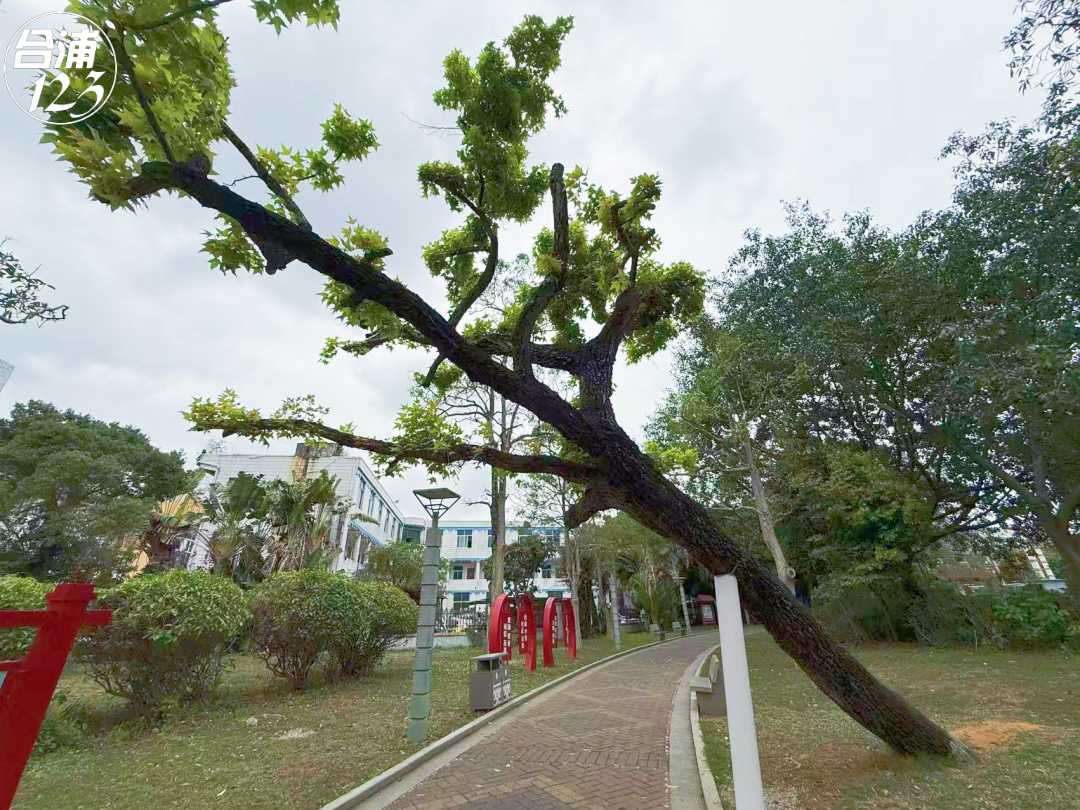 444.jpg