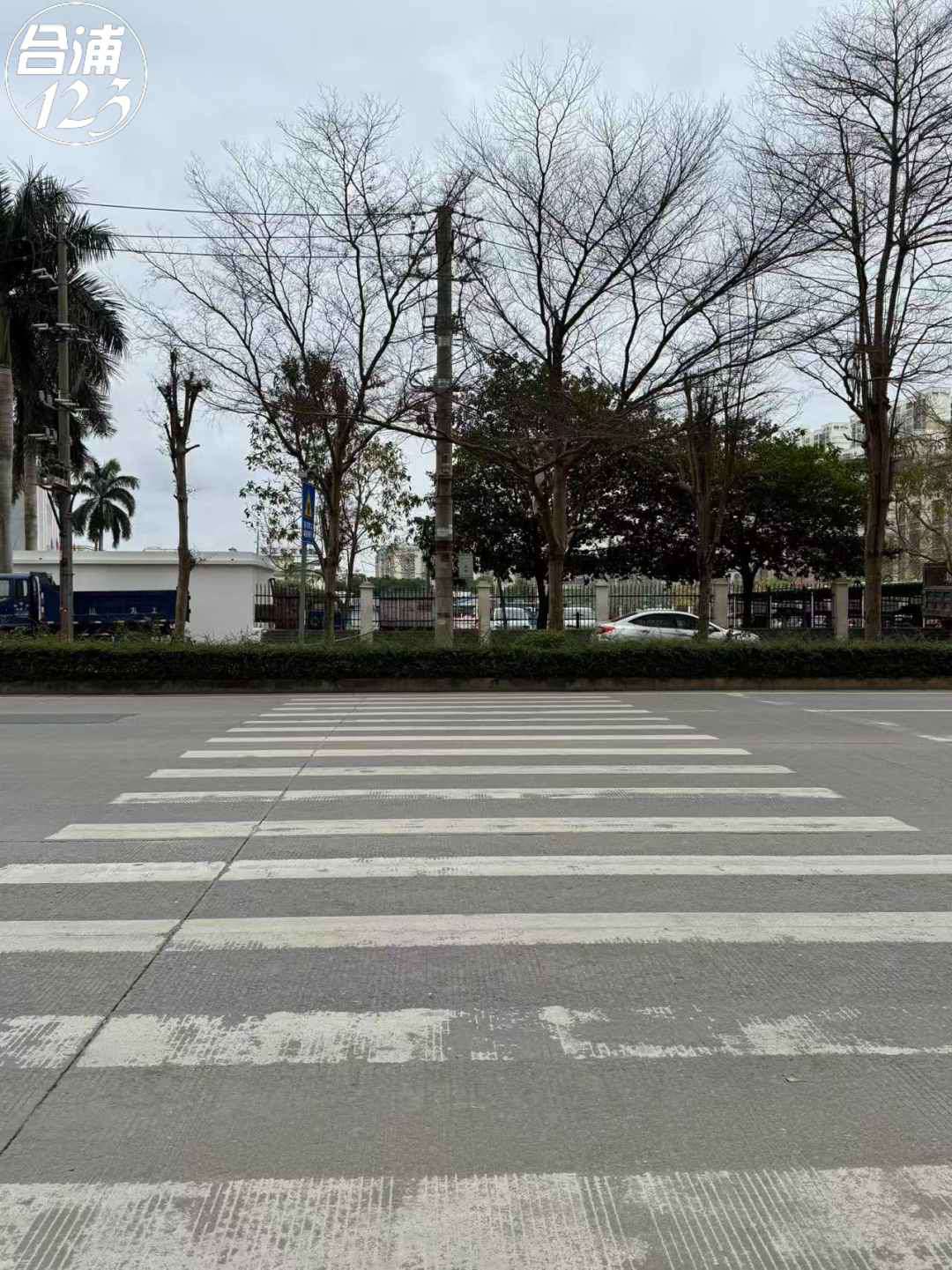 111.jpg