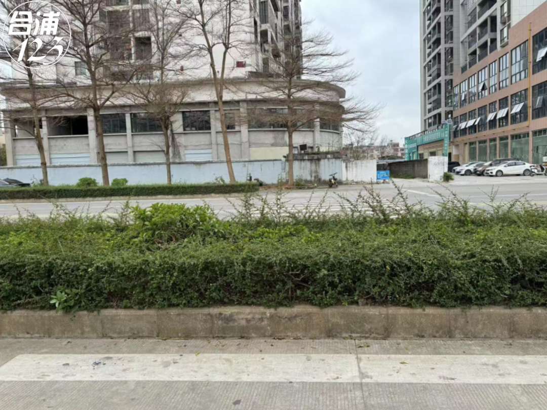 444.jpg