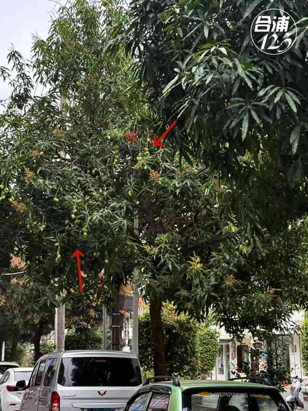111.jpg