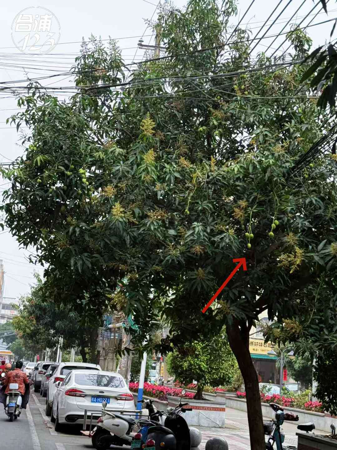 555.jpg