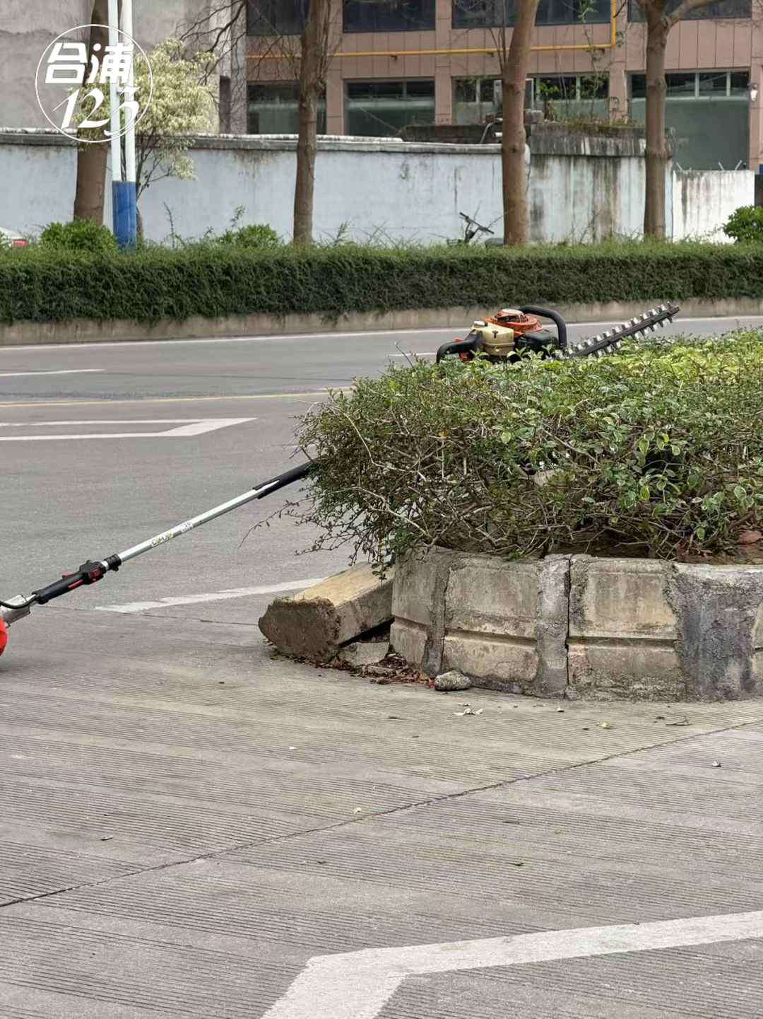 222.jpg