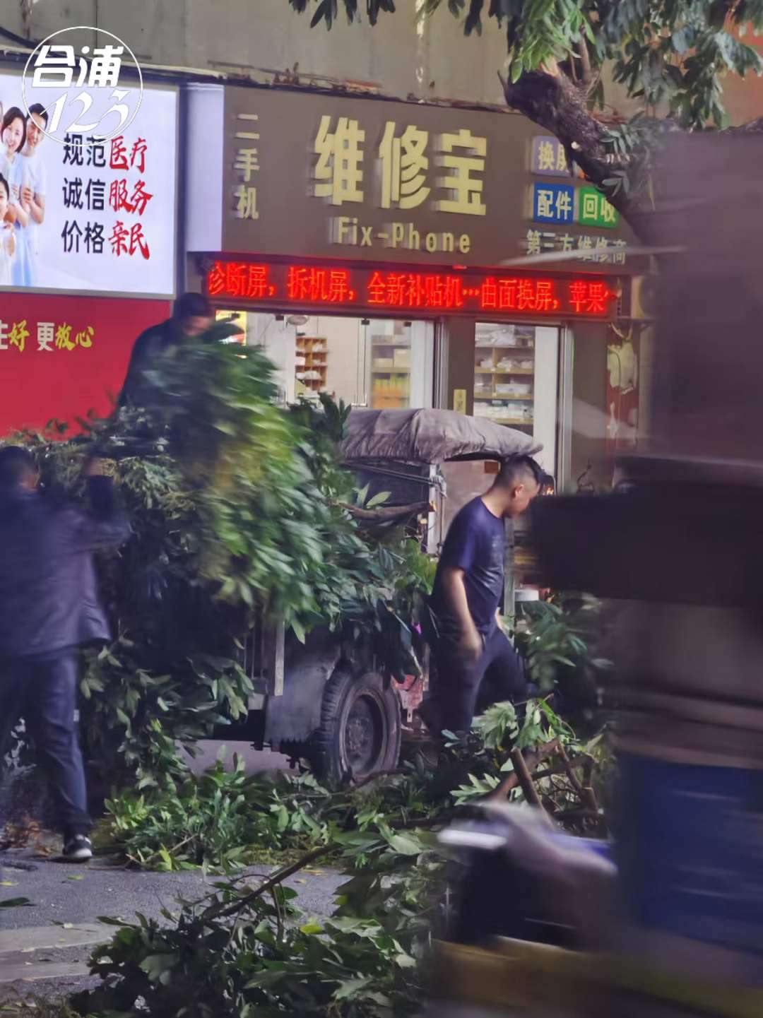 222.jpg