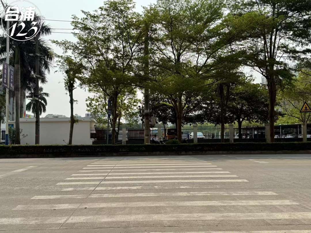 444.jpg
