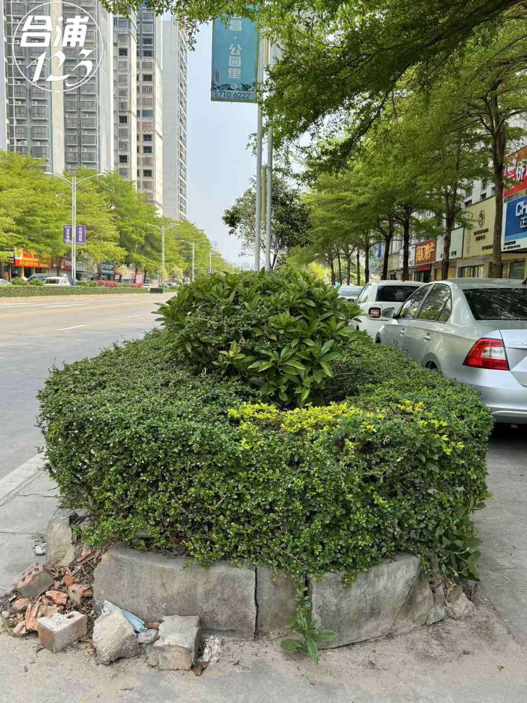 222.jpg