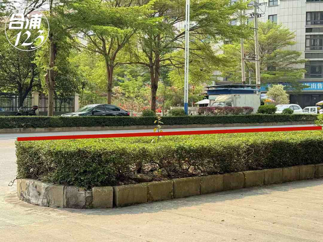 555.jpg