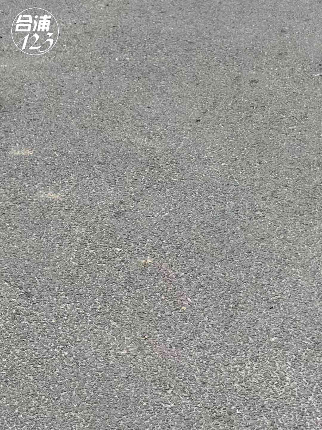 555.jpg