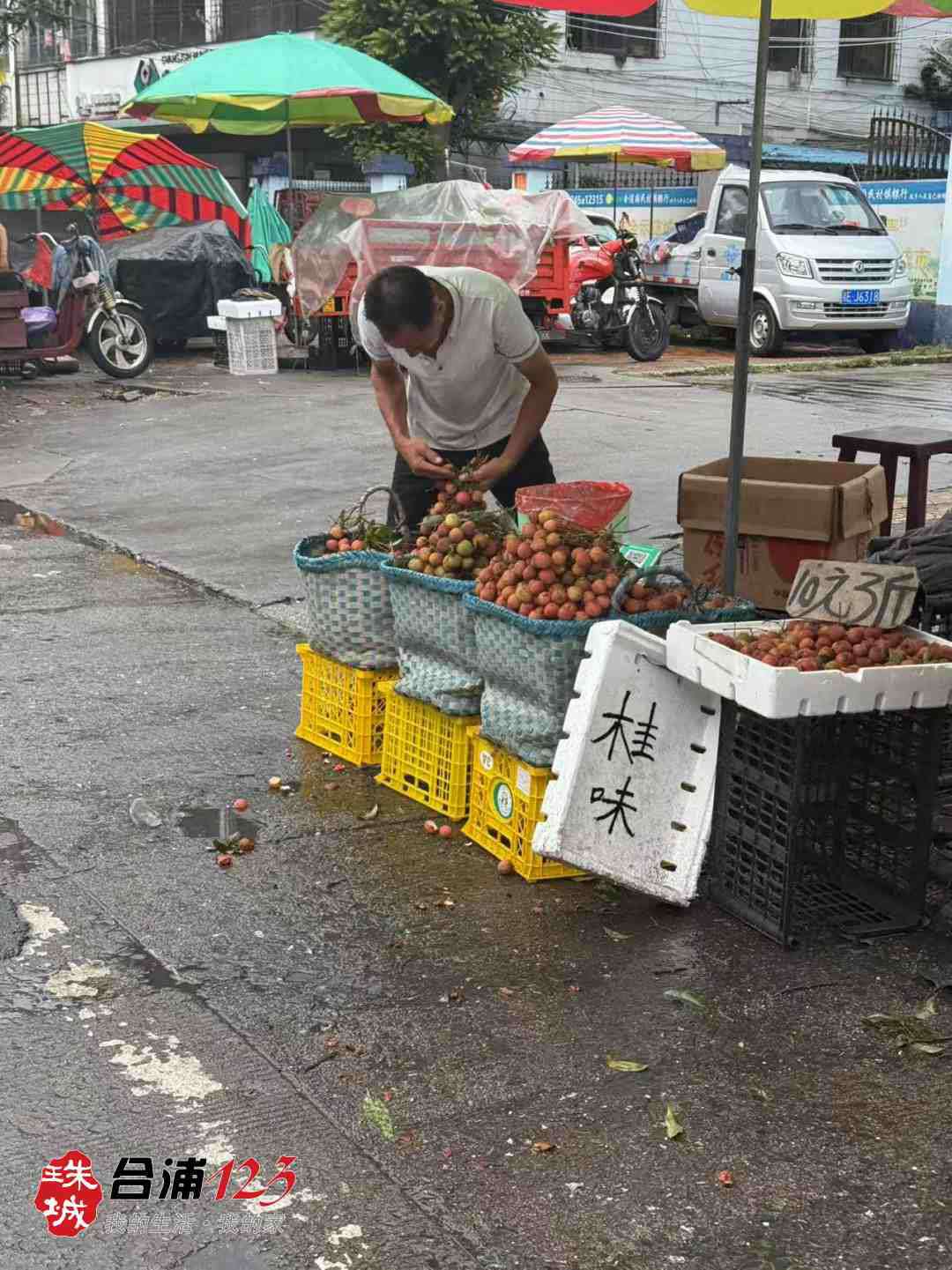 111.jpg
