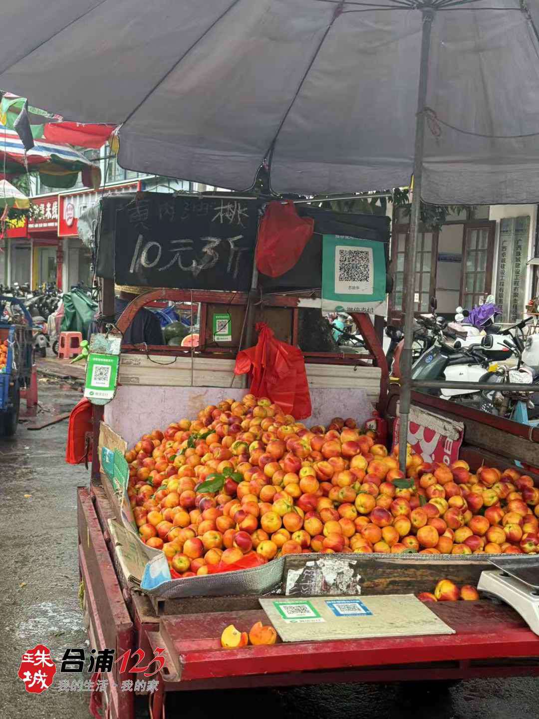 555.jpg