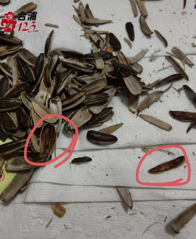 555.jpg