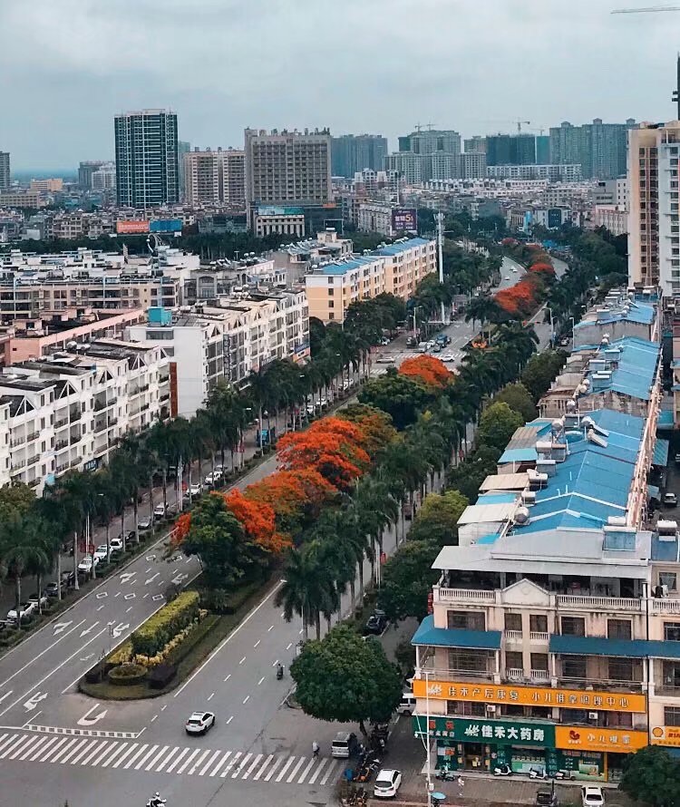 远眺合浦城东北一角你发现城建有变化了吗