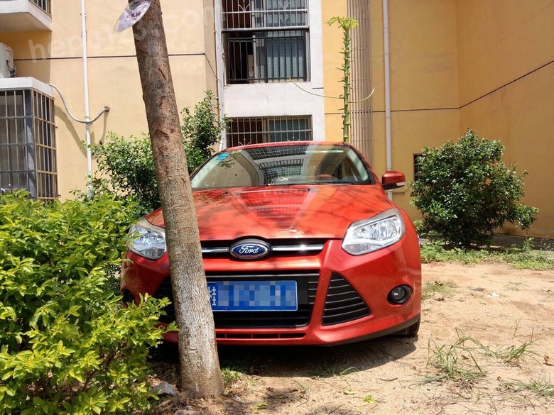 合浦某小區的綠化帶被改造成私家車位後湧現出了一批車神