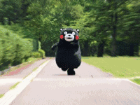 4.gif