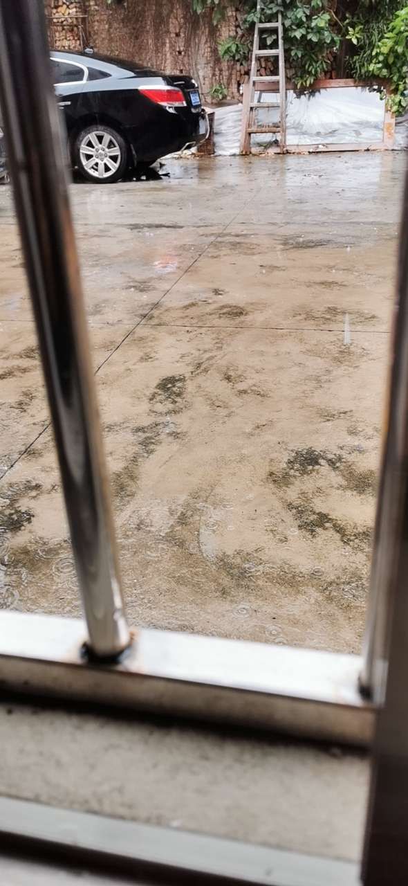 20190821_199_1566371079370.jpg