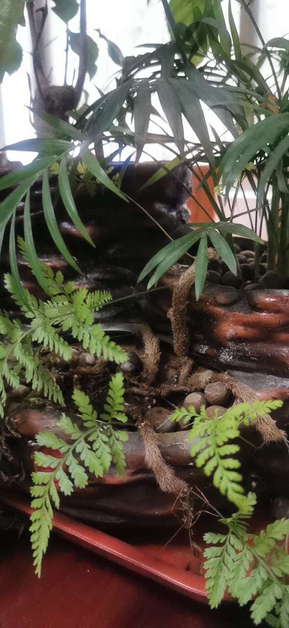 20191010_2049_1570696299880.jpg