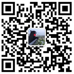 155722dr7jwfdtfdvrg1hp.jpg