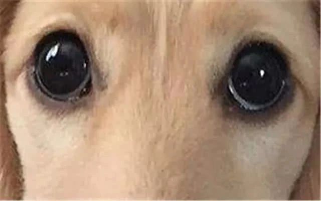 3.webp.jpg