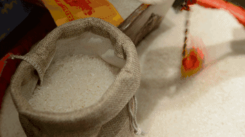 98c8ac87ecb04cdeb4ba08e3eb13aad6.gif