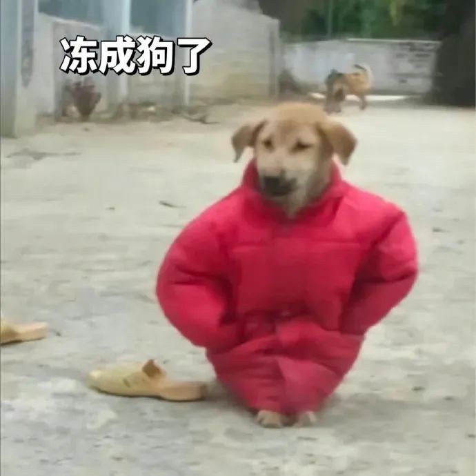 ΢ͼƬ_20230127111223.jpg