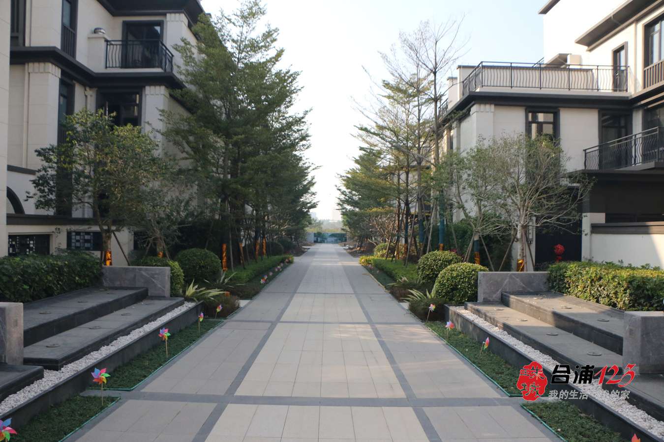 IMG_7144.jpg