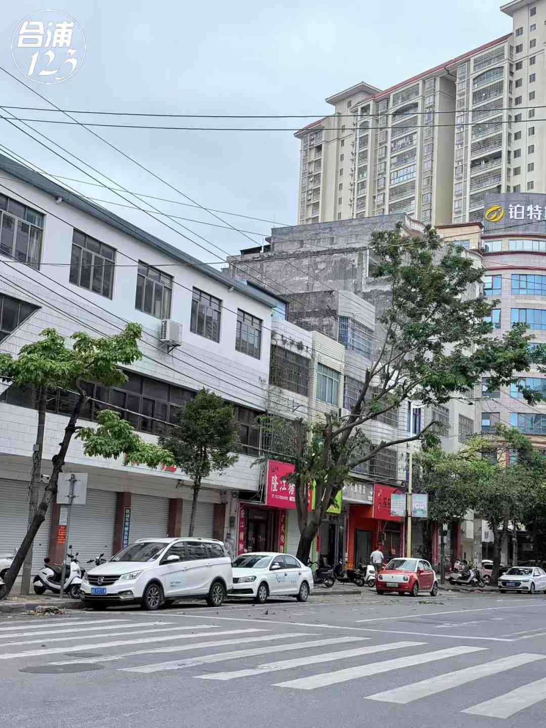 555.jpg