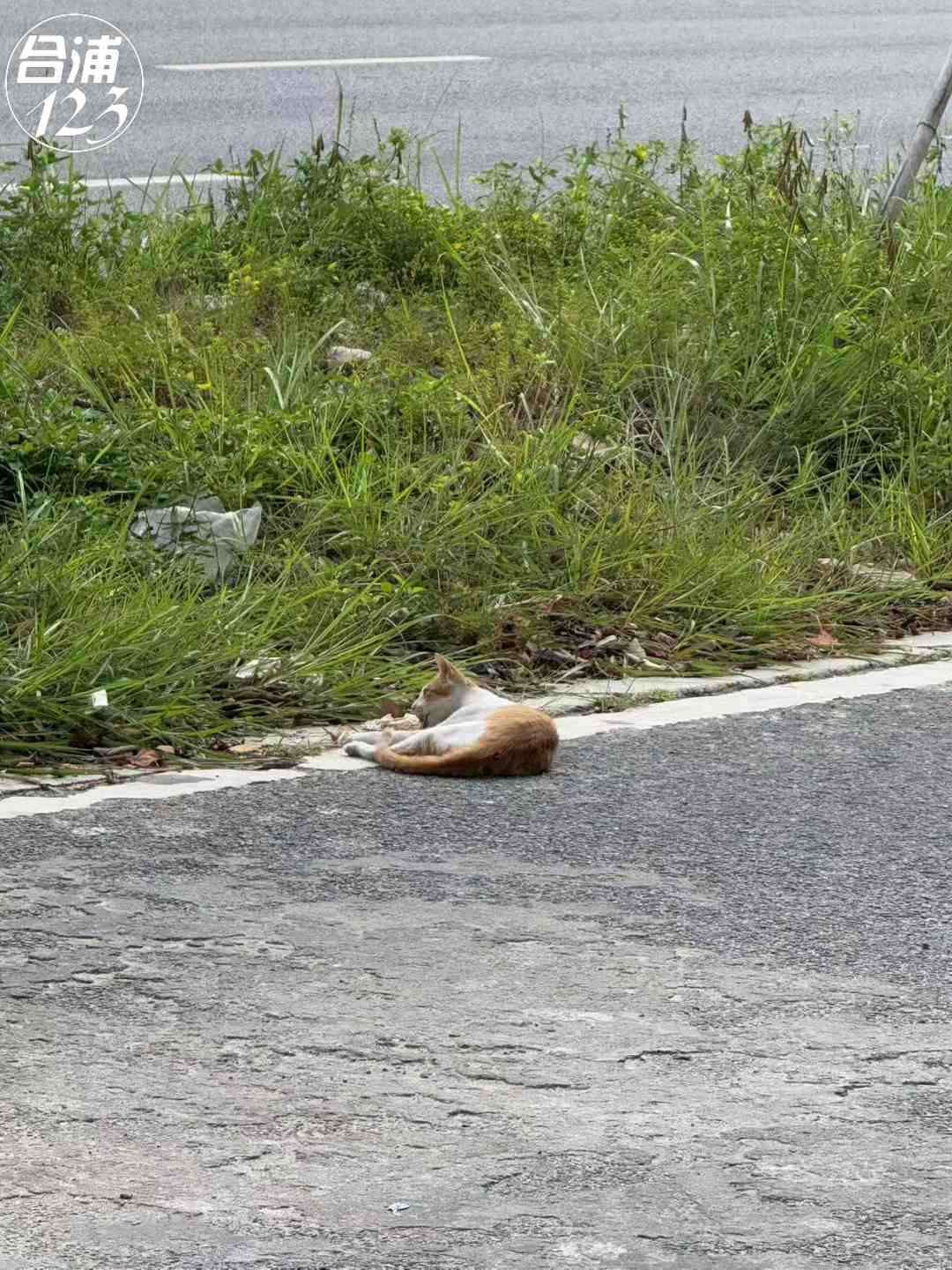 111.jpg