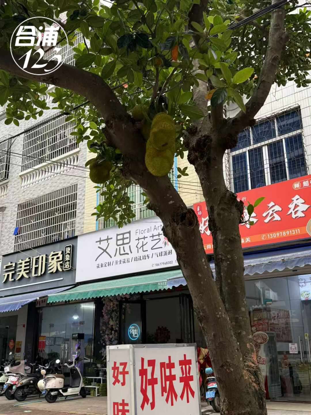 444.jpg