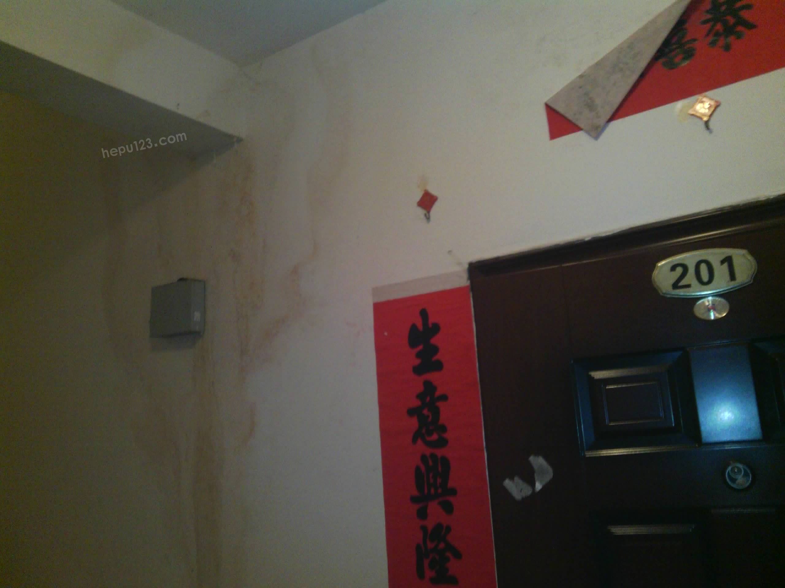 IMG_20130128_190458.jpg