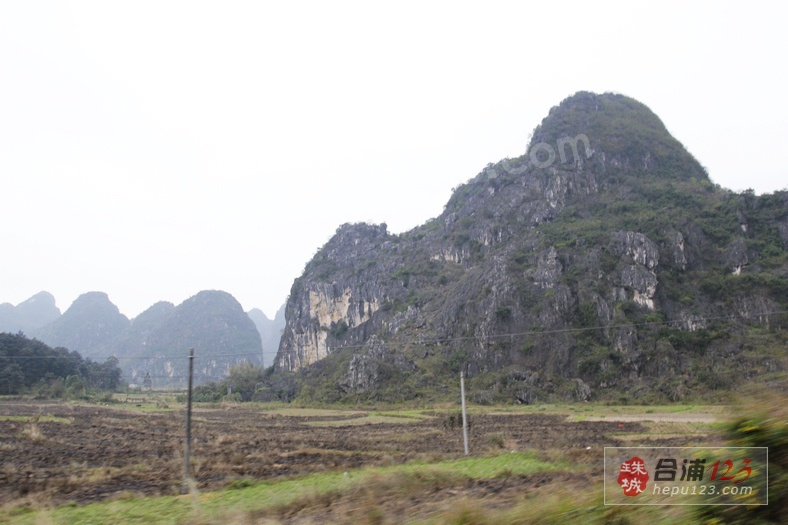 _MG_9589.jpg