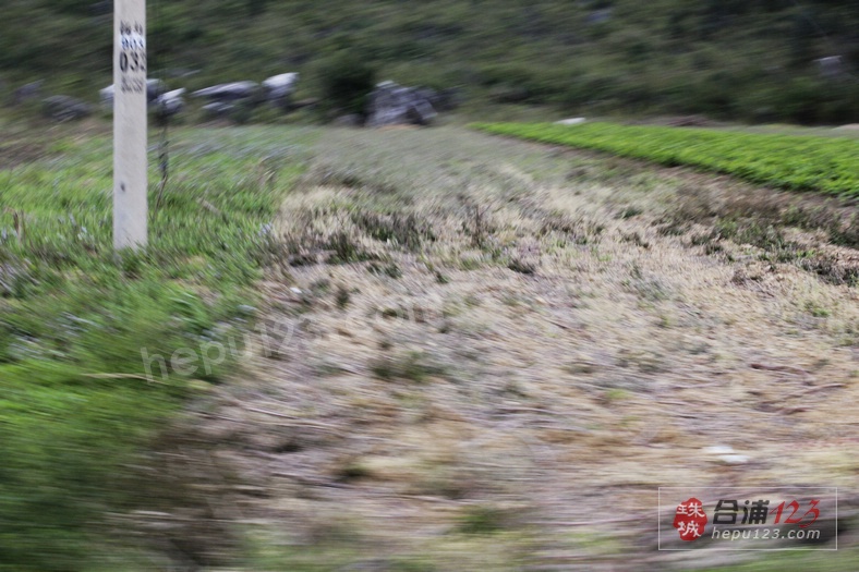 _MG_9577.jpg
