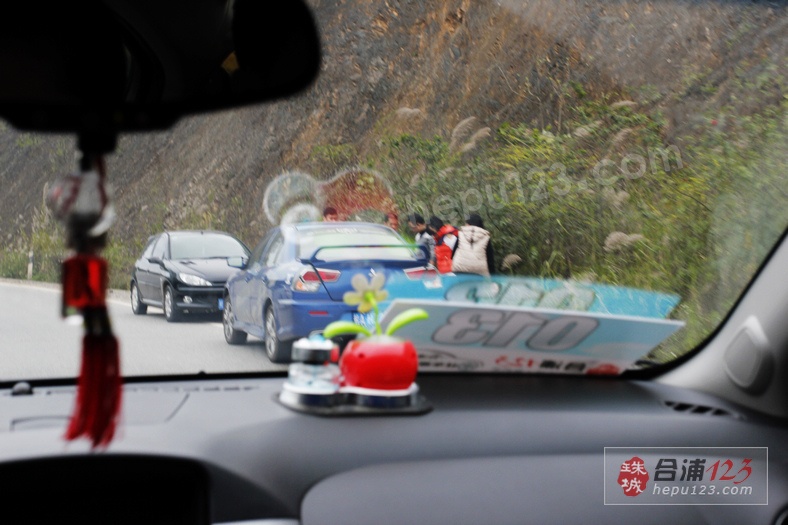 _MG_9507.jpg