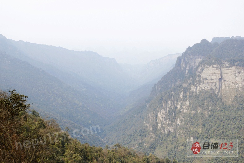 _MG_9584.jpg