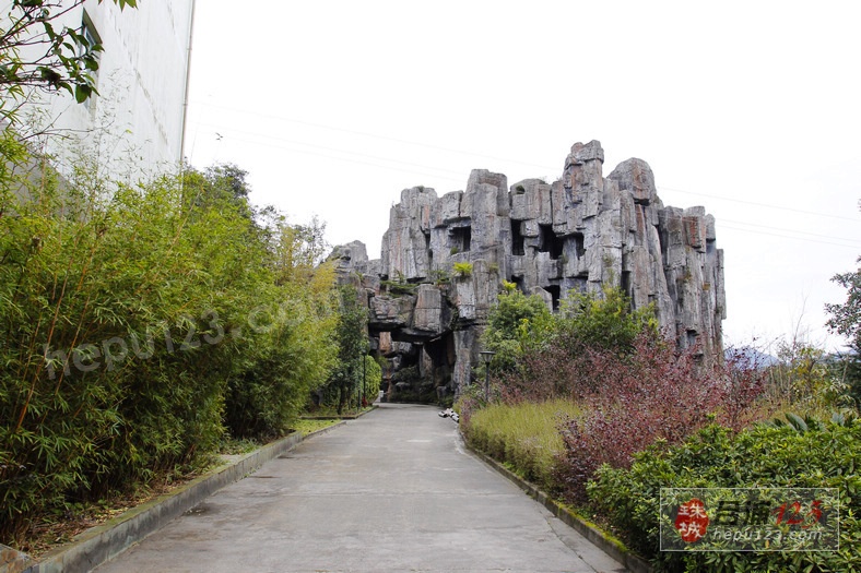 _MG_9448.jpg