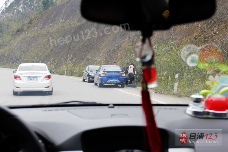 _MG_9506.jpg