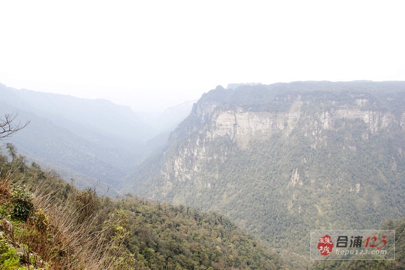 _MG_9576.jpg