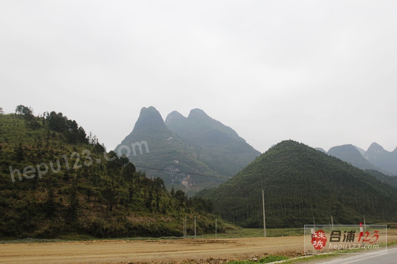 _MG_9730.jpg